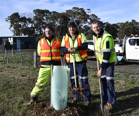 Tree Planting.png