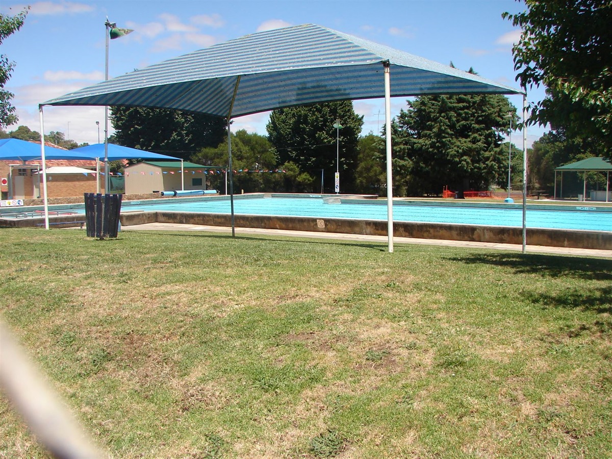 Tender Awarded for Repairs to Hamilton Olympic Swimming Pool Southern ...