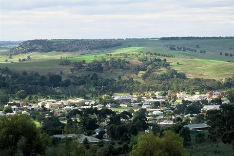 Peter-Francis-Points-Arbo-Coleraine.JPG